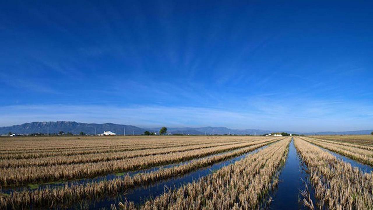 Mi Apartamento En El Delta Del Ebro+ Deltebre Ngoại thất bức ảnh