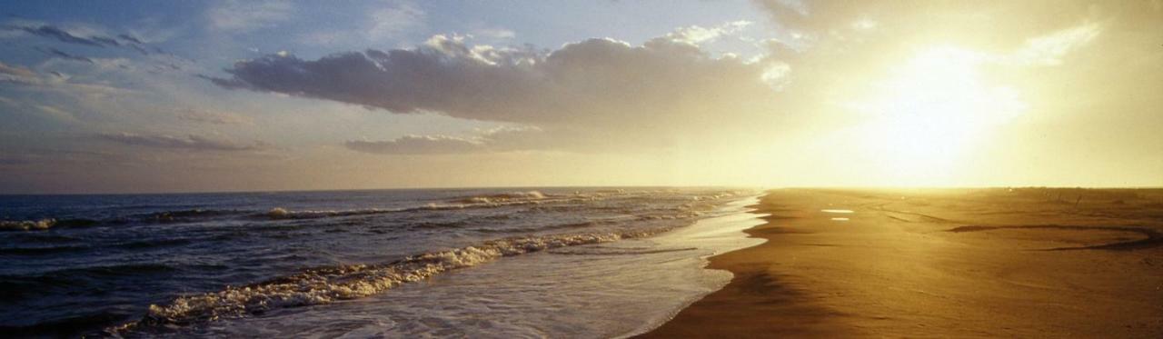 Mi Apartamento En El Delta Del Ebro+ Deltebre Ngoại thất bức ảnh