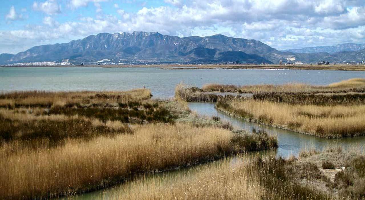 Mi Apartamento En El Delta Del Ebro+ Deltebre Ngoại thất bức ảnh