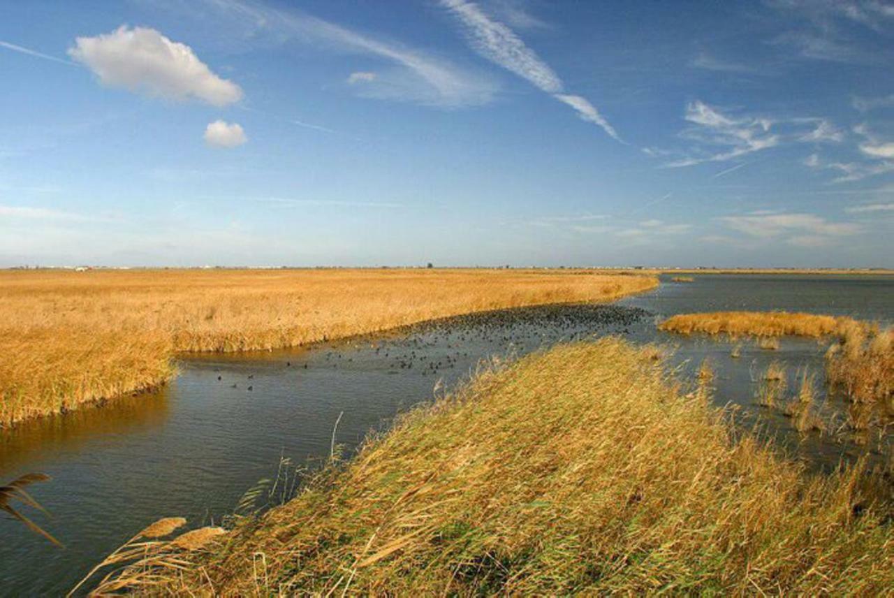Mi Apartamento En El Delta Del Ebro+ Deltebre Ngoại thất bức ảnh