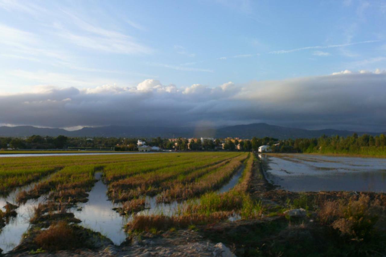 Mi Apartamento En El Delta Del Ebro+ Deltebre Ngoại thất bức ảnh